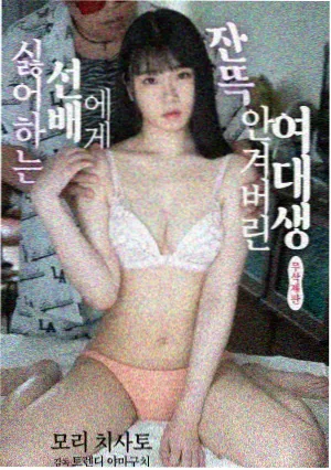 夜航船 国产剧集精选 封面